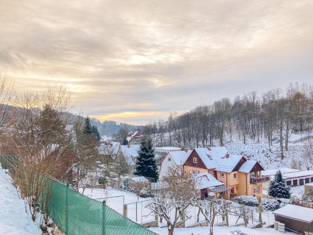 Villa Svoboda Na Upou By Interhome Свобода-Над-Упоу Экстерьер фото