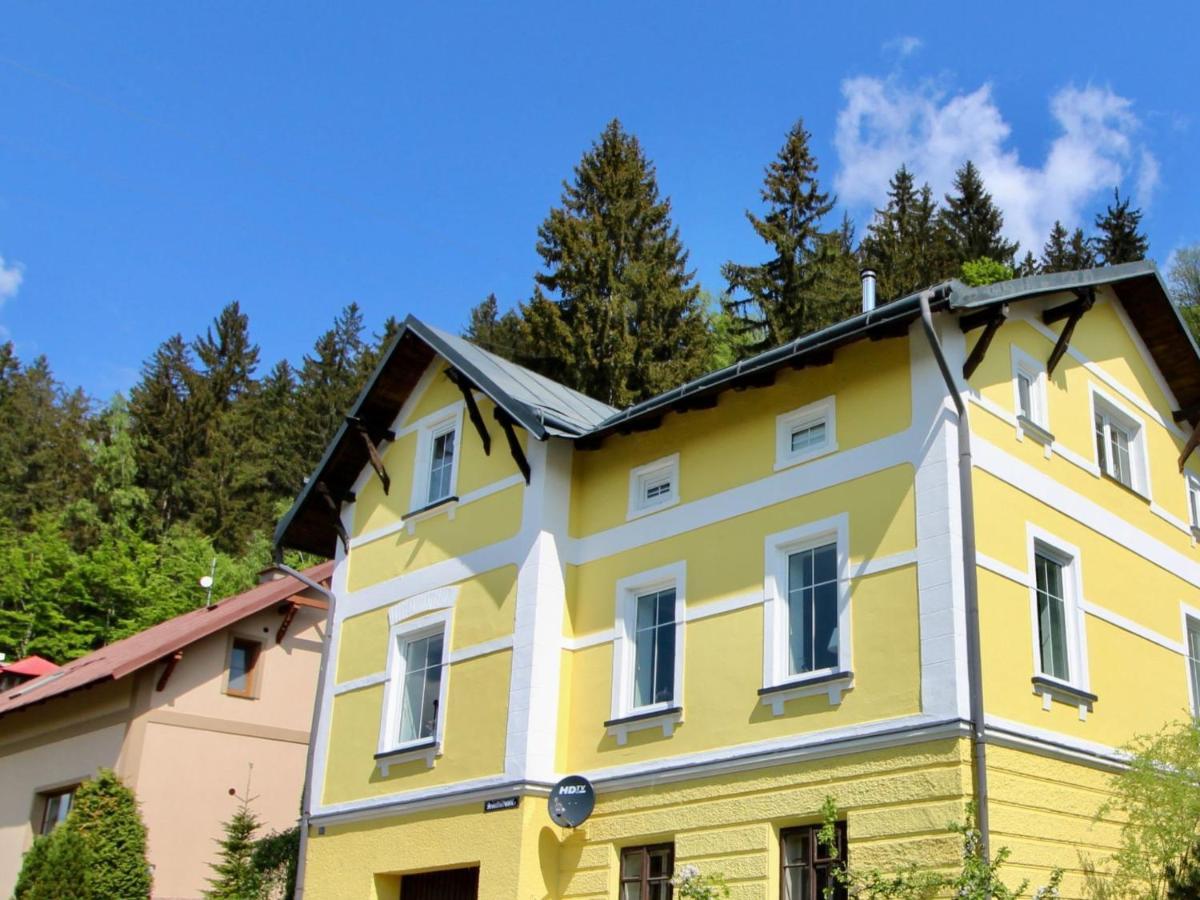 Villa Svoboda Na Upou By Interhome Свобода-Над-Упоу Экстерьер фото