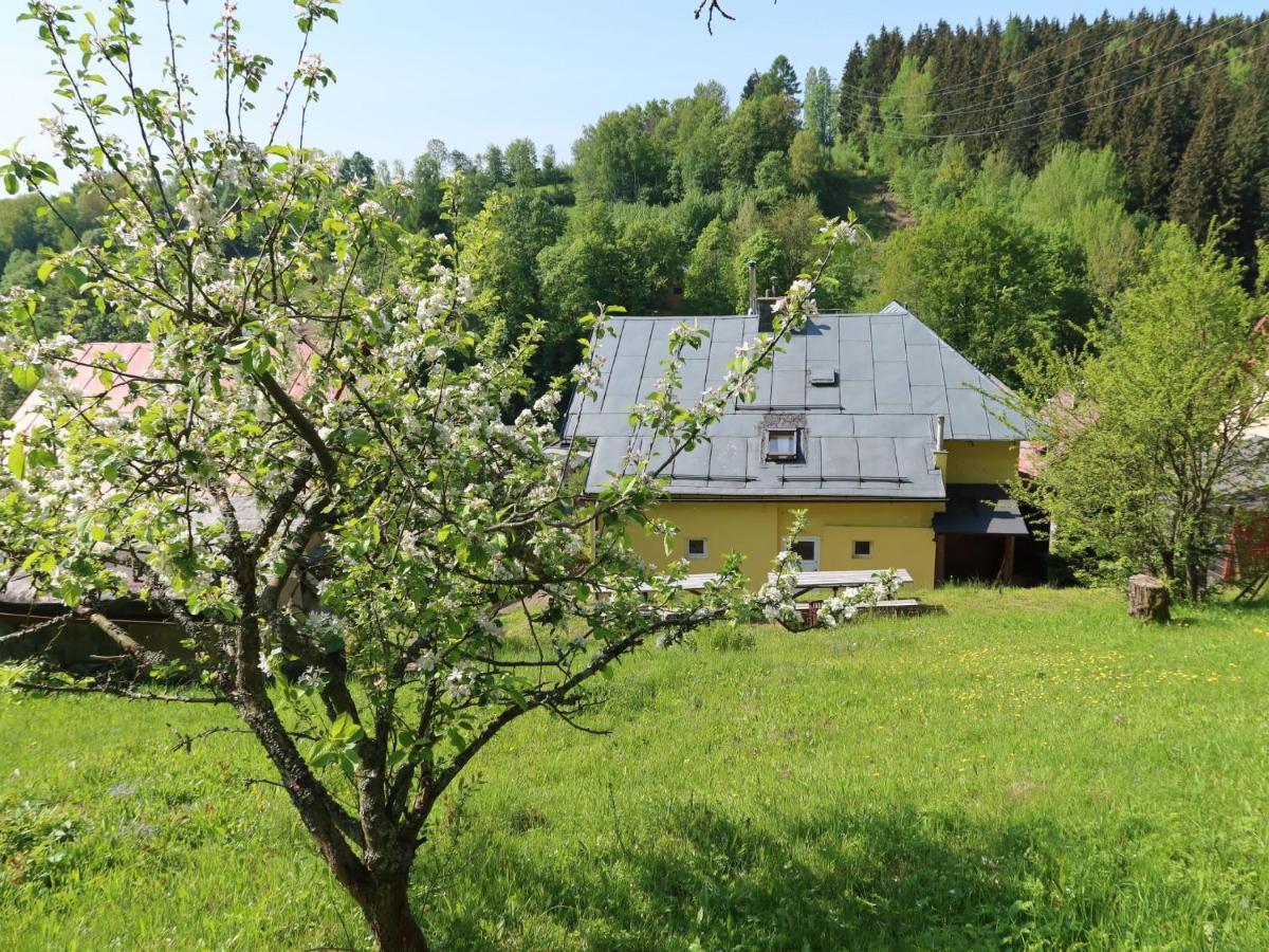 Villa Svoboda Na Upou By Interhome Свобода-Над-Упоу Экстерьер фото